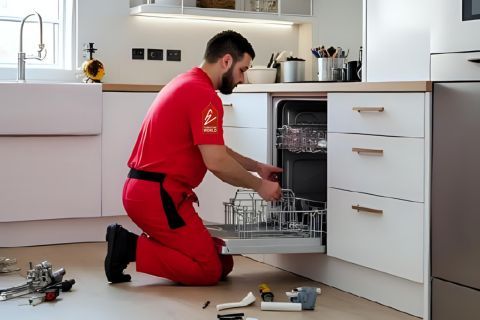 Expert Help & Advice